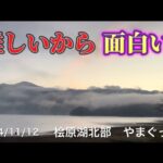 難しいから面白い？　桧原湖ワカサギ釣りの真髄#ワカサギ釣り #桧原湖ワカサギ釣り #シマノ #レイクマスター #つうチャンネルステッカー