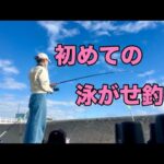 【浜名湖 釣り】初めての 泳がせ釣り✨青物、アジ狙い✨