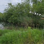 釣り人が入らない沼を釣り調査したら、まさかの五目釣り達成！？