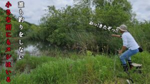 釣り人が入らない沼を釣り調査したら、まさかの五目釣り達成！？