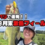 最新！牛久沼水系 オカッパリトップウォーター