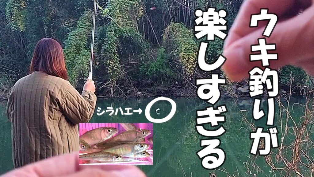 【川釣り】ウキ釣り　仕掛け作りから釣り方まで【小物釣り、シラハエ、カワムツ】