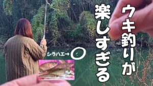 【川釣り】ウキ釣り 仕掛け作りから釣り方まで【小物釣り、シラハエ、カワムツ】