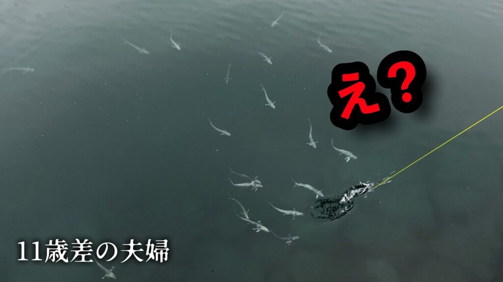 【お祭り騒ぎ！！】全部⚪︎⚪︎、とんでもねぇヤバい海に遭遇する 車中泊釣り旅三日目の夫婦
