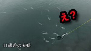 【お祭り騒ぎ!!】全部⚪︎⚪︎、とんでもねぇヤバい海に遭遇する 車中泊釣り旅三日目の夫婦