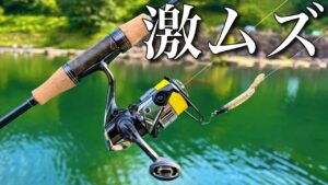 【難易度高すぎ】真夏の管理釣り場は激ムズすぎて散った【エリアトラウト 発光路の森フィッシングエリア】