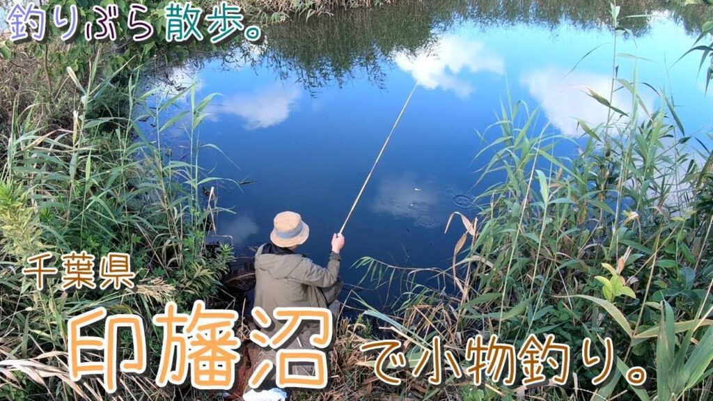 【小物釣り】朝早くから～千葉県印旛沼周辺で小物釣り。【淡水】