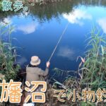 【小物釣り】朝早くから～千葉県印旛沼周辺で小物釣り。【淡水】