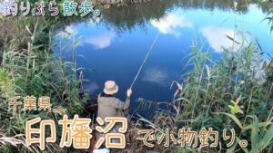 【小物釣り】朝早くから~千葉県印旛沼周辺で小物釣り。【淡水】
