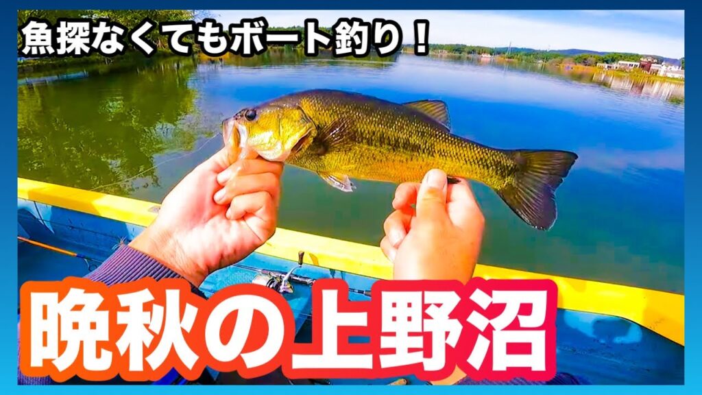 【魚探レスのボート釣り！】晩秋の上野沼初釣行！