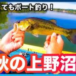 【魚探レスのボート釣り！】晩秋の上野沼初釣行！