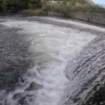 厚別川 ゴルフ場で釣りした結果…