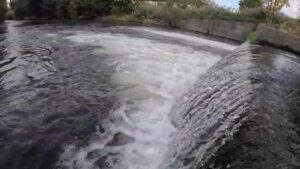 厚別川 ゴルフ場で釣りした結果…