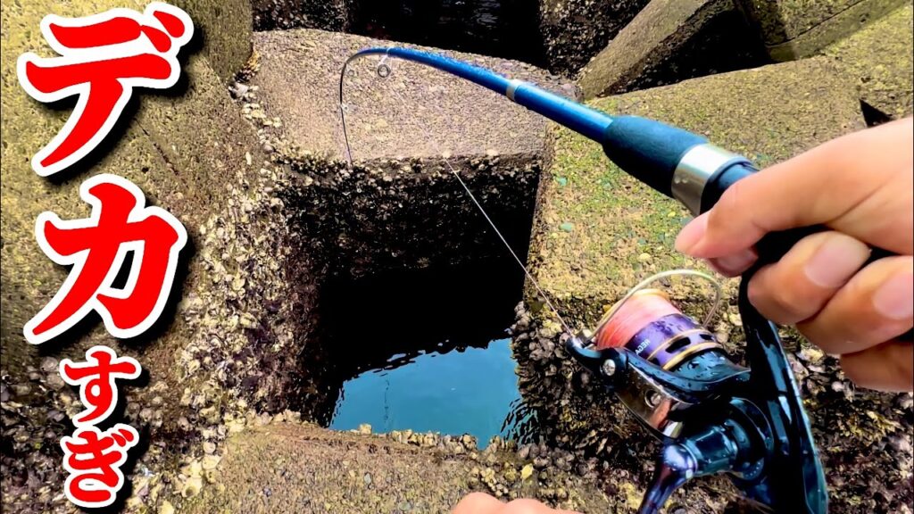 【穴釣り】信じられない化け物が来ました