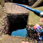 【穴釣り】信じられない化け物が来ました