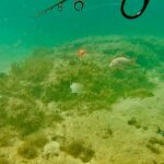 海の中で釣りした結果…