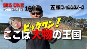 【五頭フィッシングパーク】ビックワントーナメント ここは大物の王国 #五頭フィッシングパーク #ビックワントーナメント #ここは大物の王国 #ビックワン #管釣り #エリアトラウト