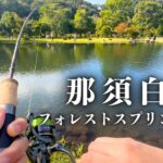 天気が良い日はルアーとフライの二刀流で那須白河フォレストスプリングスに行こう【管理釣り場】【エリアトラウト】