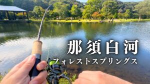 天気が良い日はルアーとフライの二刀流で那須白河フォレストスプリングスに行こう【管理釣り場】【エリアトラウト】