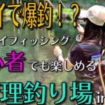 フライフィッシング初心者でも楽しめる管理釣り場【前編】