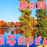 【ウキ釣りだいちゃん】別所沼公園（埼玉県さいたま市）浦和の有名公園、フナは釣れる！？