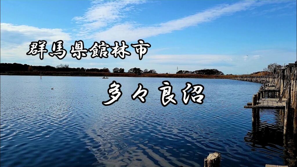 【へら鮒釣り🔰】初めて行った多々良沼🎵ジャミのアタリに大苦戦😢