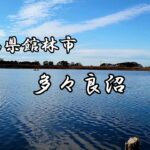 【へら鮒釣り🔰】初めて行った多々良沼🎵ジャミのアタリに大苦戦😢
