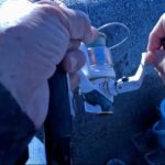 南浜名湖の釣り　魚釣れています