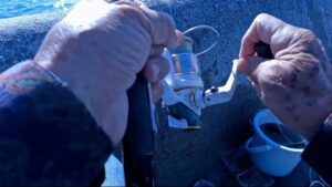 南浜名湖の釣り 魚釣れています