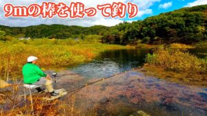 秋に増水するダムでロマン溢れるヘラブナ釣り!【岩手県花巻市 田瀬湖】