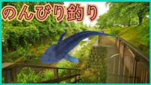 【釣り】急に晴れたので近くの川へ【サバイバル】