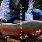 【渓流釣り】ついに怪物が…