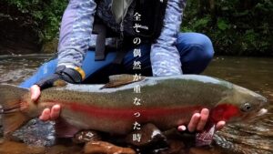 【渓流釣り】ついに怪物が…