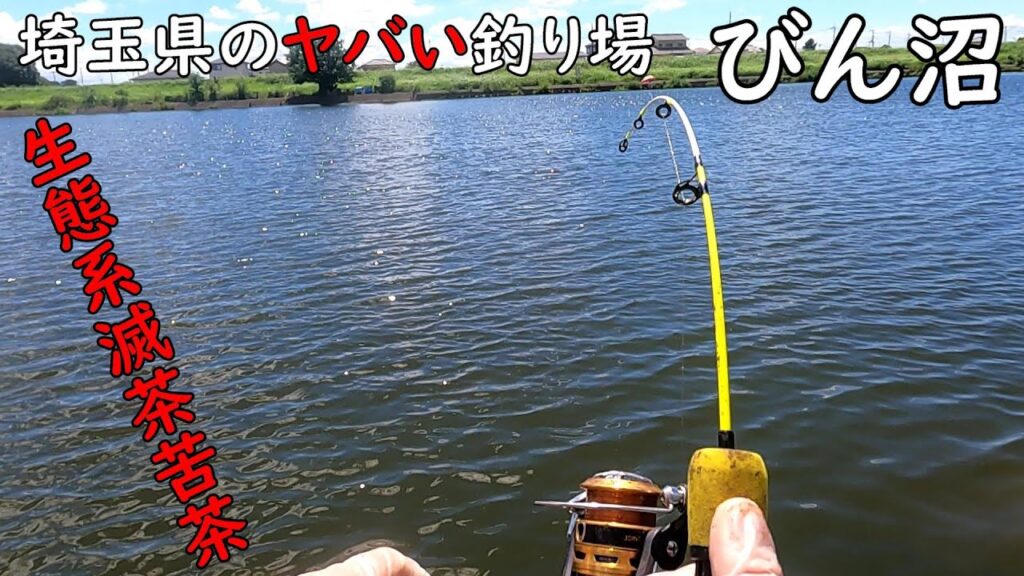 初めての魚が釣れた！！びん沼の生態系がヤバい！！