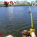 初めての魚が釣れた！！びん沼の生態系がヤバい！！