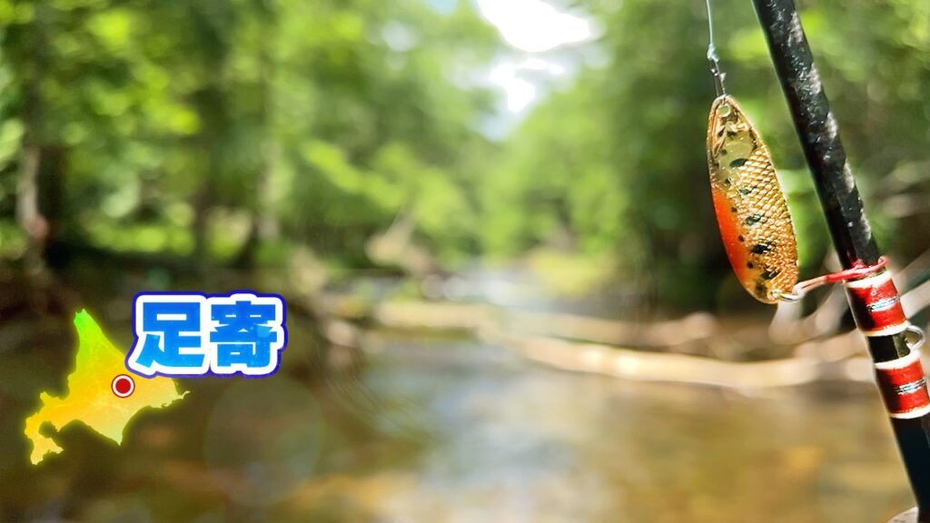 【渓流ルアー】オショロコマが最も釣れるシーズンに釣りに行ったらかつてないほど釣れすぎた【北海道遠征⑦】