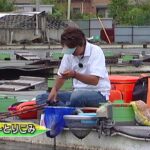 ヘラブナ釣り　管理釣り場編