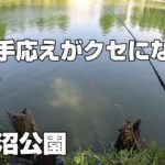 【小物釣り】今年初の真夏日！木陰のある公園で小物釣り！【別所沼公園】