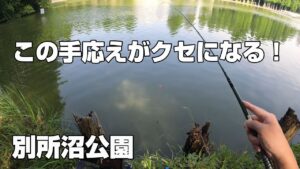 【小物釣り】今年初の真夏日！木陰のある公園で小物釣り！【別所沼公園】