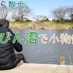 【小物釣り】びん沼初挑戦！埼玉 川越 びん沼で小物釣り。  【淡水】