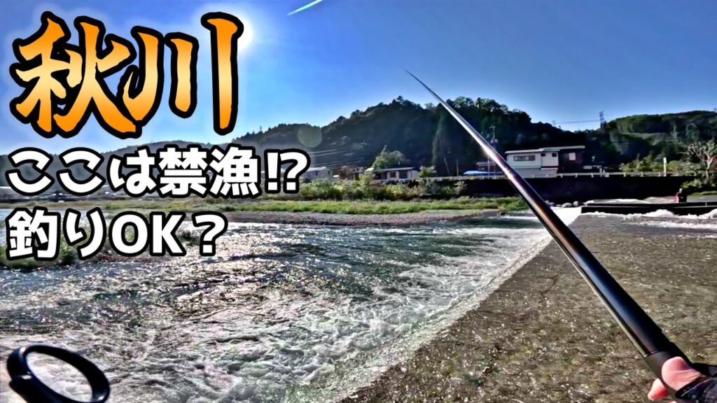 秋川の冬季マス釣り禁漁エリアが変わった？注意しないと密漁に…！