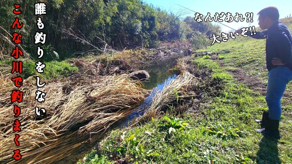 田舎の誰も釣りをしない小川で釣りしたら想像以上の魚が釣れた！