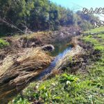 田舎の誰も釣りをしない小川で釣りしたら想像以上の魚が釣れた！