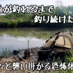 【釣りキャンプ】遂にぬし交代！巨大魚を庭池に放す！川でキャンプ飯