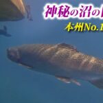 本州で最も透明な沼に潜む巨大魚を釣りにいったらヤバすぎた【エリアトラウト・菅沼・丸沼・管理釣り場】