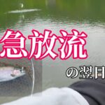 【管理釣り場】初夏の高宮　遠投して良型連発！