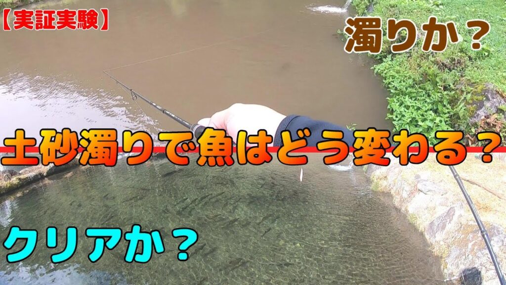 【実証実験】大雨の土砂濁りは良い悪い？【管理釣り場】【エリアトラウト】