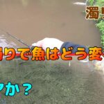 【実証実験】大雨の土砂濁りは良い悪い？【管理釣り場】【エリアトラウト】