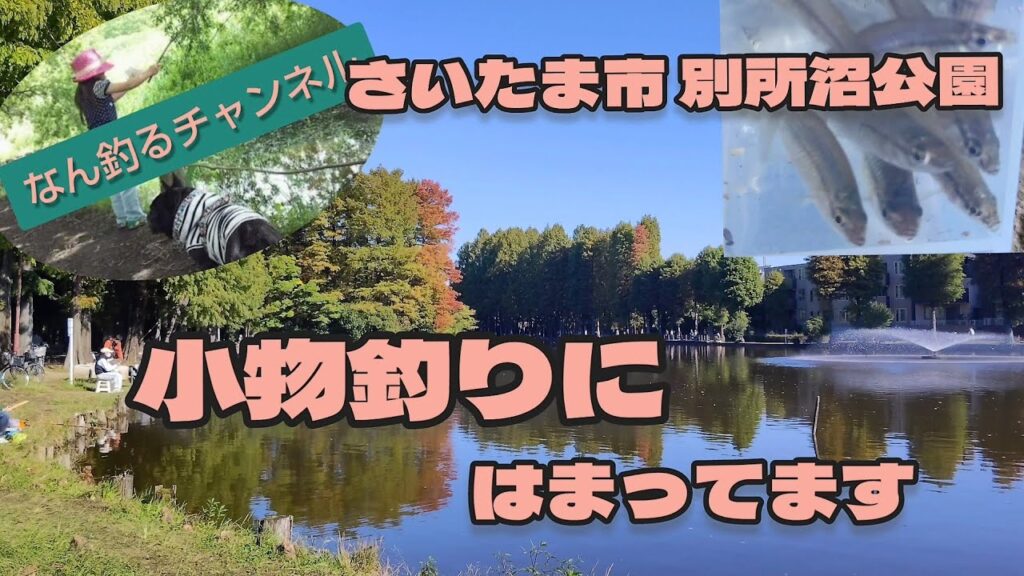 さいたま市別所沼公園 小物釣り