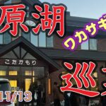 【ワカサギ釣り】桧原湖巡業！　こたかもり編　空中戦？！　#ワカサギ釣り  #桧原湖ワカサギ釣り #シマノ #レイクマスター #こたかもり